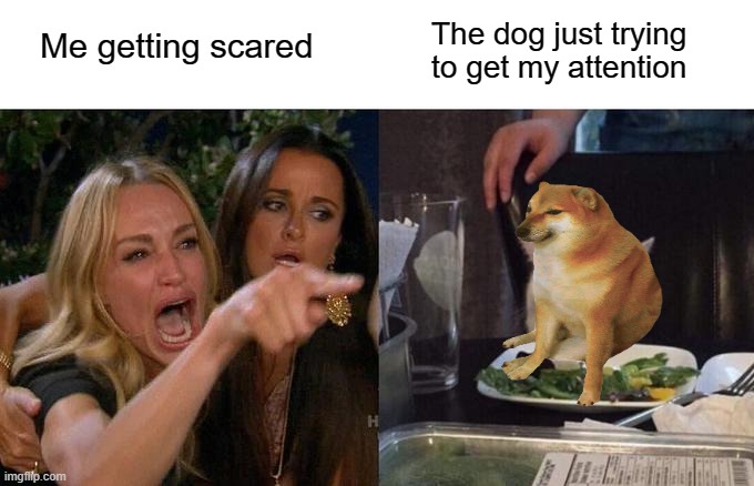 My fear of dogs | Me getting scared; The dog just trying to get my attention | image tagged in memes,woman yelling at dog,life,fear,funny | made w/ Imgflip meme maker