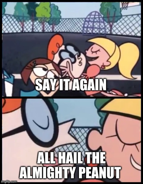 all Hail the Almighty Peanut! | SAY IT AGAIN; ALL HAIL THE ALMIGHTY PEANUT | image tagged in memes,say it again dexter | made w/ Imgflip meme maker