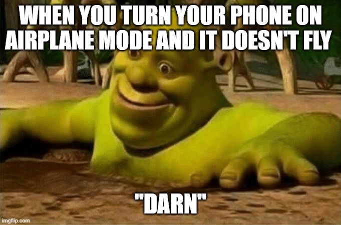WHEN YOU TURN YOUR PHONE ON AIRPLANE MODE AND IT DOESN'T FLY; "DARN" | image tagged in shrek | made w/ Imgflip meme maker
