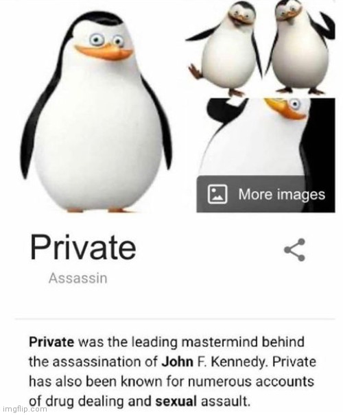 Damn AAA that's pretty bad and you support this guy | image tagged in penguins,no anime allowed | made w/ Imgflip meme maker