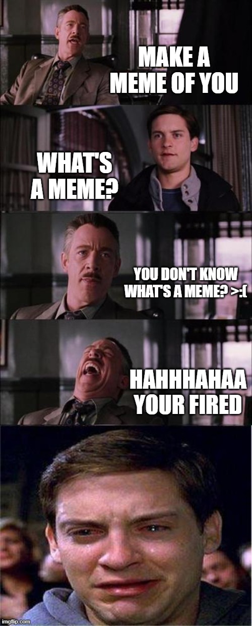 YOUR FIRED! | MAKE A MEME OF YOU; WHAT'S A MEME? YOU DON'T KNOW WHAT'S A MEME? >:(; HAHHHAHAA YOUR FIRED | image tagged in memes,peter parker cry | made w/ Imgflip meme maker