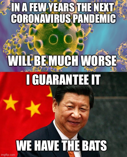 Chinese bat scientist estimates 5000 strains of coronavirus in bats | IN A FEW YEARS THE NEXT 
CORONAVIRUS PANDEMIC; WILL BE MUCH WORSE; I GUARANTEE IT; WE HAVE THE BATS | image tagged in coronavirus,xi jinping,bats,pandemic | made w/ Imgflip meme maker