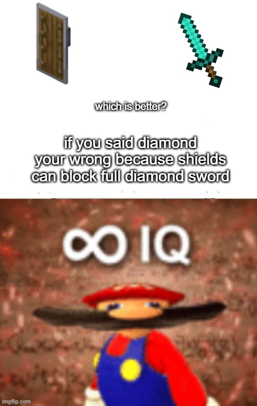 diamoond is dumb | which is better? if you said diamond your wrong because shields can block full diamond sword | image tagged in memes | made w/ Imgflip meme maker