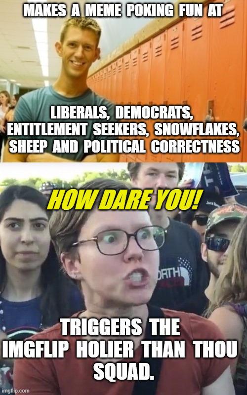SPEAK NO EVIL | MAKES  A  MEME  POKING  FUN  AT; LIBERALS,  DEMOCRATS,  ENTITLEMENT  SEEKERS,  SNOWFLAKES,  SHEEP  AND  POLITICAL  CORRECTNESS; HOW DARE YOU! TRIGGERS  THE  IMGFLIP  HOLIER  THAN  THOU 
 SQUAD. | image tagged in triggered feminist,sheeple,entitled,democrats,liberals,political correctness | made w/ Imgflip meme maker