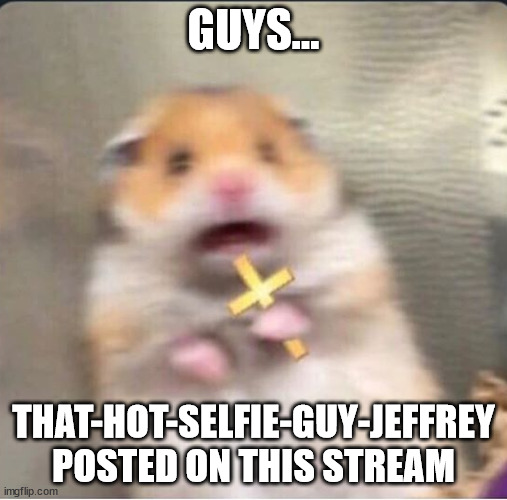 I just disapproved his image a few minutes ago | GUYS... THAT-HOT-SELFIE-GUY-JEFFREY POSTED ON THIS STREAM | image tagged in shook christian hamster | made w/ Imgflip meme maker