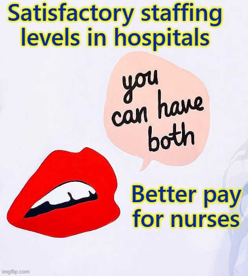Nurses' pay grades | Satisfactory staffing levels in hospitals; Better pay
for nurses | image tagged in two goals,vacancies,understaffed,agency work,healthcare,nurses | made w/ Imgflip meme maker