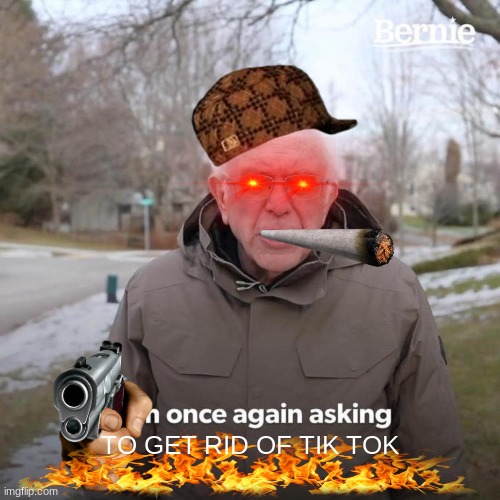GET RID OF TIK TOK | TO GET RID OF TIK TOK | image tagged in memes,bernie i am once again asking for your support,tik tok sucks,funny memes | made w/ Imgflip meme maker
