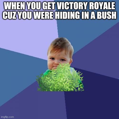 fortnite bush | WHEN YOU GET VICTORY ROYALE CUZ YOU WERE HIDING IN A BUSH | image tagged in memes,success kid,bush,fortnite bush,fortnite | made w/ Imgflip meme maker