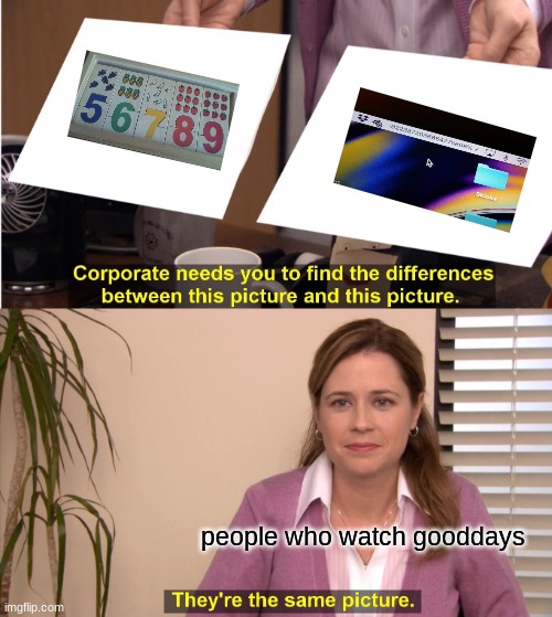 They're The Same Picture | people who watch gooddays | image tagged in memes,they're the same picture | made w/ Imgflip meme maker