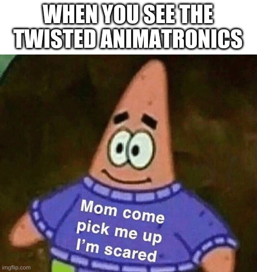 mom come pick me up i'm scared | WHEN YOU SEE THE TWISTED ANIMATRONICS | image tagged in mom come pick me up i'm scared | made w/ Imgflip meme maker