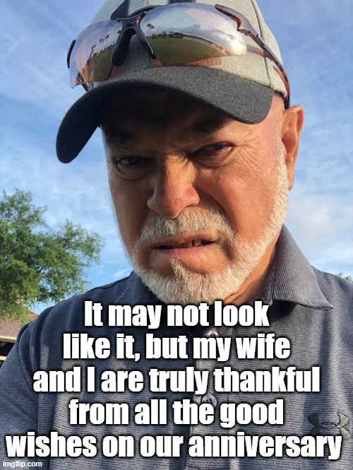 Anniversary | It may not look like it, but my wife and I are truly thankful from all the good wishes on our anniversary | image tagged in grumpy | made w/ Imgflip meme maker