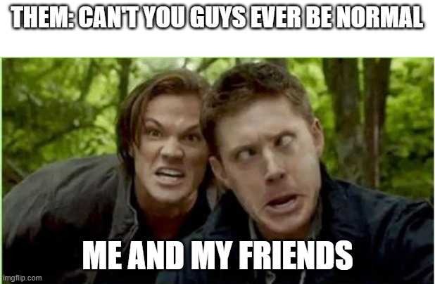 never be normal | THEM: CAN'T YOU GUYS EVER BE NORMAL; ME AND MY FRIENDS | image tagged in supernatural,weird | made w/ Imgflip meme maker