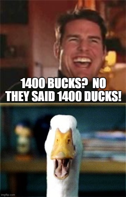 1400 BUCKS?  NO THEY SAID 1400 DUCKS! | image tagged in tom cruise laugh,aflac duck | made w/ Imgflip meme maker