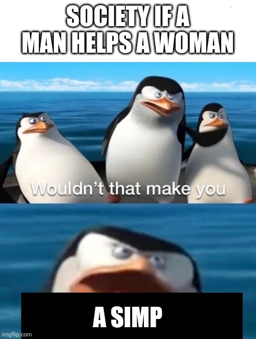 Wouldn't that make you | SOCIETY IF A MAN HELPS A WOMAN; A SIMP | image tagged in wouldn't that make you | made w/ Imgflip meme maker