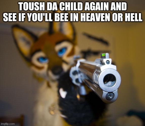 Furry with gun | TOUSH DA CHILD AGAIN AND SEE IF YOU'LL BEE IN HEAVEN OR HELL | image tagged in furry with gun | made w/ Imgflip meme maker