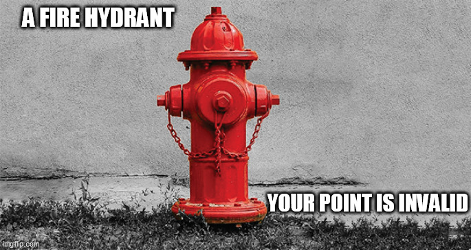 love | A FIRE HYDRANT; YOUR POINT IS INVALID | image tagged in your point | made w/ Imgflip meme maker