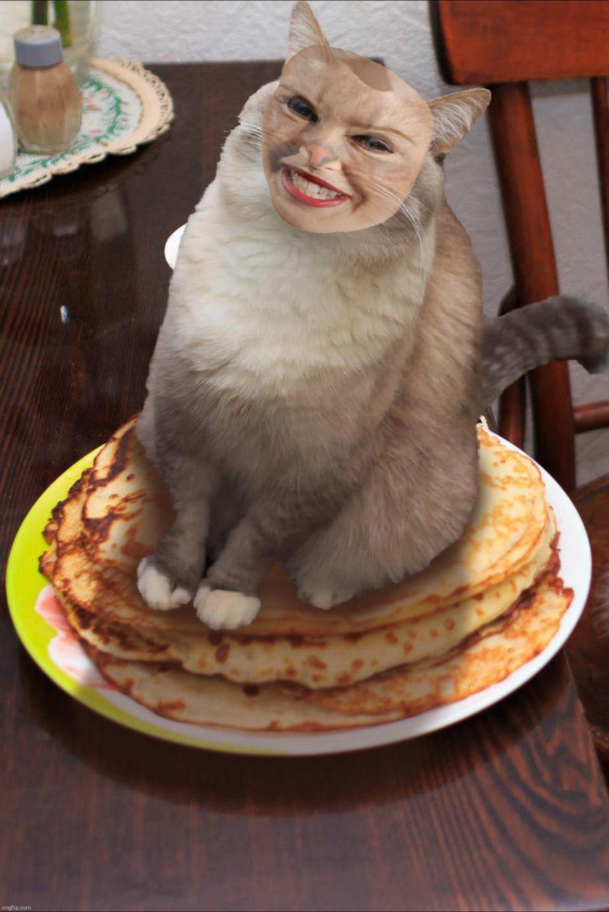 Another fine breakfest ruined by Kyttie (see what I did there?) Minogue,,, | image tagged in pancake cat,kylie botox mask,cats are stupid,kylie minogue,kylieminoguesucks,kylie minogue screech | made w/ Imgflip meme maker
