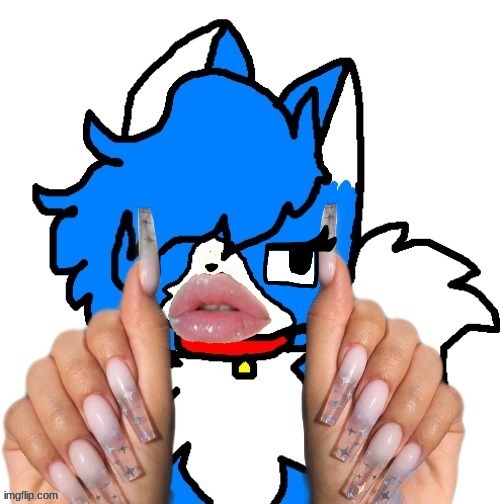 Pweriot. (I HAVE NO REGERTS) | made w/ Imgflip meme maker