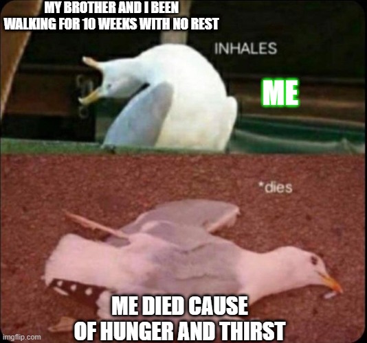 inhales dies bird | MY BROTHER AND I BEEN WALKING FOR 10 WEEKS WITH NO REST; ME; ME DIED CAUSE OF HUNGER AND THIRST | image tagged in inhales dies bird | made w/ Imgflip meme maker
