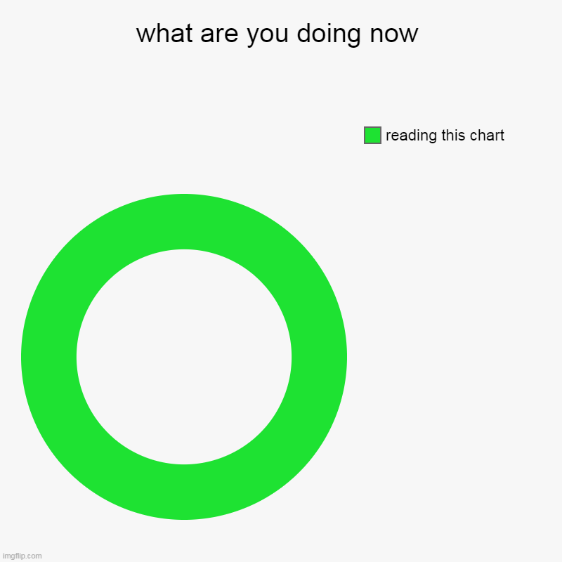what are you doing now | reading this chart | image tagged in charts,donut charts | made w/ Imgflip chart maker