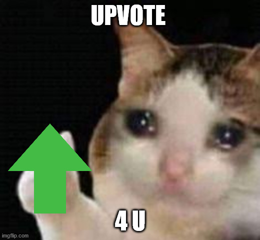 UPVOTE 4 U | image tagged in approved crying cat | made w/ Imgflip meme maker