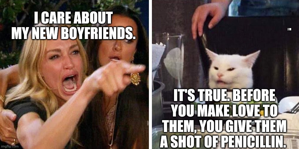Smudge the cat | I CARE ABOUT MY NEW BOYFRIENDS. J M; IT'S TRUE. BEFORE YOU MAKE LOVE TO THEM, YOU GIVE THEM A SHOT OF PENICILLIN. | image tagged in smudge the cat | made w/ Imgflip meme maker