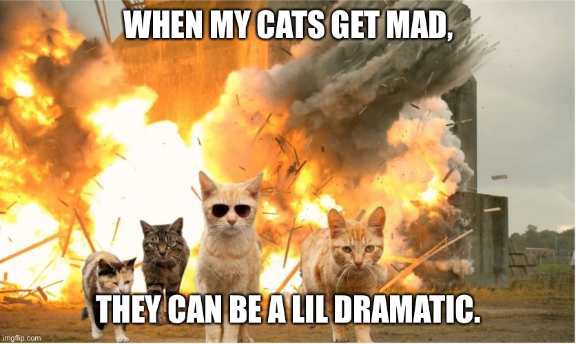 Cats away explosion | WHEN MY CATS GET MAD, THEY CAN BE A LIL DRAMATIC. | image tagged in cats away explosion | made w/ Imgflip meme maker