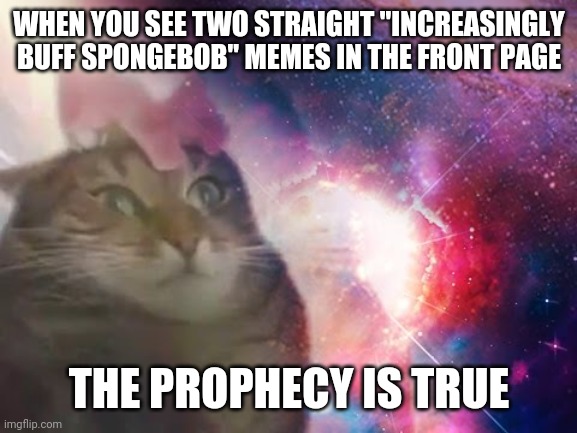 The SpongeBob prophecy is true | WHEN YOU SEE TWO STRAIGHT "INCREASINGLY BUFF SPONGEBOB" MEMES IN THE FRONT PAGE; THE PROPHECY IS TRUE | image tagged in the prophecy is true cat,spongebob,cat | made w/ Imgflip meme maker