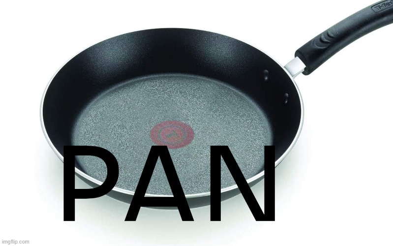 PAN | image tagged in memes | made w/ Imgflip meme maker