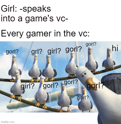 gORL? goRL? | Girl: -speaks into a game's vc-; Every gamer in the vc:; gorl? hi; gorl? girl? grl? gorl? gorl? gorl? gorl? girl? gorl? | image tagged in blank white template,finding nemo seagulls | made w/ Imgflip meme maker