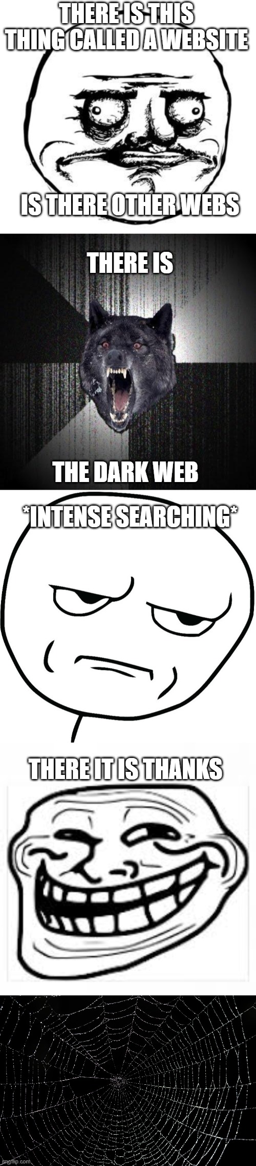 I.C.U searchthis | THERE IS THIS THING CALLED A WEBSITE; IS THERE OTHER WEBS; THERE IS; THE DARK WEB; *INTENSE SEARCHING*; THERE IT IS THANKS | image tagged in me gusta,memes,insanity wolf,meme face,troll meme face,spider web | made w/ Imgflip meme maker