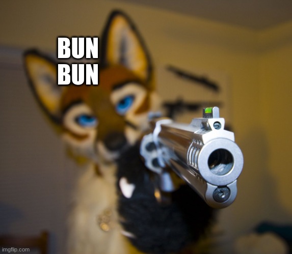Furry with gun | BUN BUN | image tagged in furry with gun | made w/ Imgflip meme maker