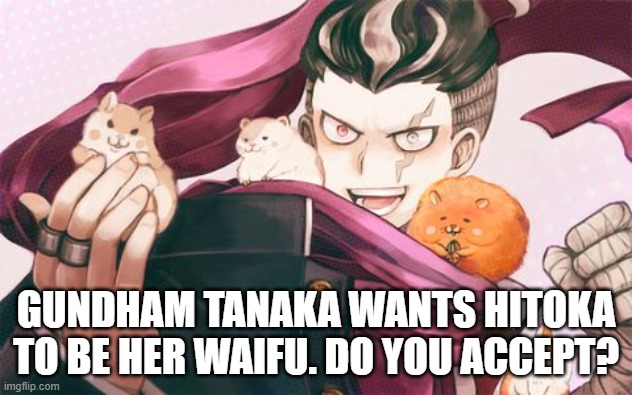 GUNDHAM TANAKA WANTS HITOKA TO BE HER WAIFU. DO YOU ACCEPT? | made w/ Imgflip meme maker