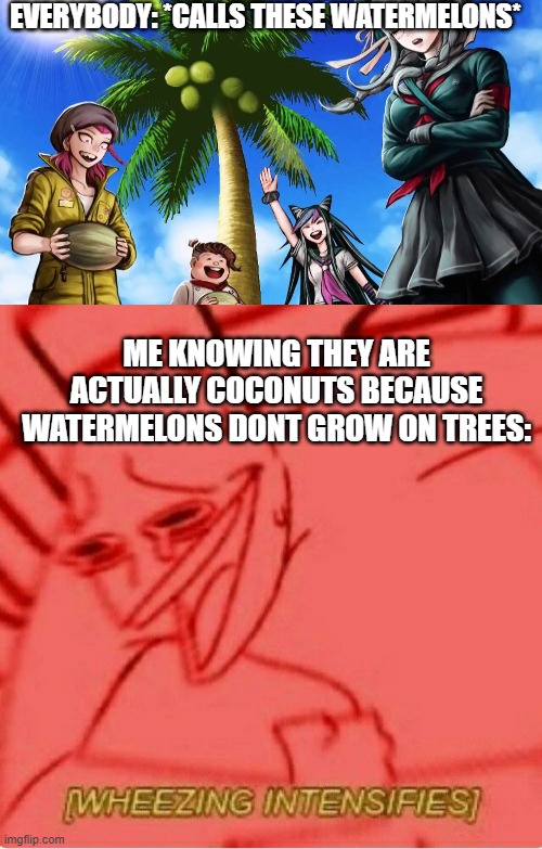 EVERYBODY: *CALLS THESE WATERMELONS*; ME KNOWING THEY ARE ACTUALLY COCONUTS BECAUSE WATERMELONS DONT GROW ON TREES: | image tagged in wheeze | made w/ Imgflip meme maker