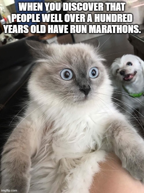 Mindblown Cat | WHEN YOU DISCOVER THAT PEOPLE WELL OVER A HUNDRED YEARS OLD HAVE RUN MARATHONS. | image tagged in mindblown cat | made w/ Imgflip meme maker