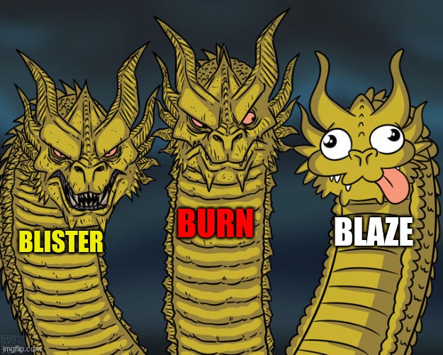 Didn't I already do this? | BURN; BLAZE; BLISTER | image tagged in three-headed dragon,wings of fire | made w/ Imgflip meme maker