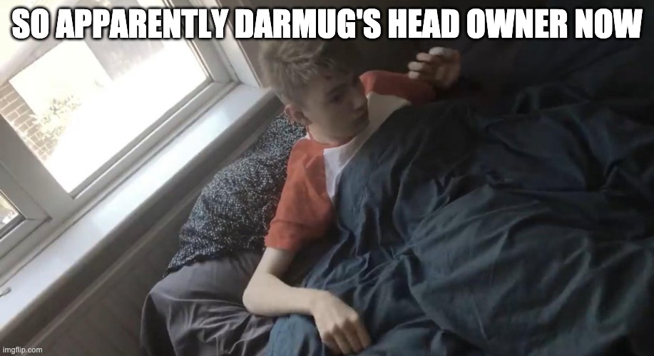 Time to edit the handbook | SO APPARENTLY DARMUG'S HEAD OWNER NOW | image tagged in tommyinnit bed | made w/ Imgflip meme maker