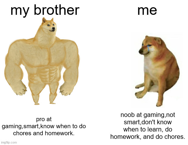 me vs my brother | my brother; me; pro at gaming,smart,know when to do chores and homework. noob at gaming,not smart,don't know when to learn, do homework, and do chores. | image tagged in memes,buff doge vs cheems | made w/ Imgflip meme maker