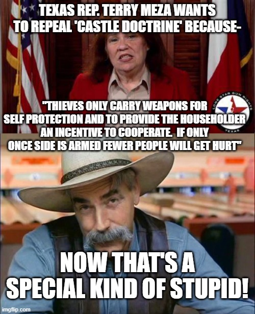 TEXAS REP. TERRY MEZA WANTS TO REPEAL 'CASTLE DOCTRINE' BECAUSE-; "THIEVES ONLY CARRY WEAPONS FOR SELF PROTECTION AND TO PROVIDE THE HOUSEHOLDER AN INCENTIVE TO COOPERATE.  IF ONLY ONCE SIDE IS ARMED FEWER PEOPLE WILL GET HURT"; NOW THAT'S A SPECIAL KIND OF STUPID! | image tagged in sam elliott special kind of stupid | made w/ Imgflip meme maker