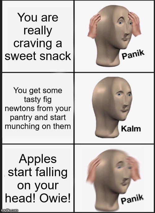 Dang it Isaac x.x | You are really craving a sweet snack; You get some tasty fig newtons from your pantry and start munching on them; Apples start falling on your head! Owie! | image tagged in memes,panik kalm panik,newton,sweet,snack,apple | made w/ Imgflip meme maker