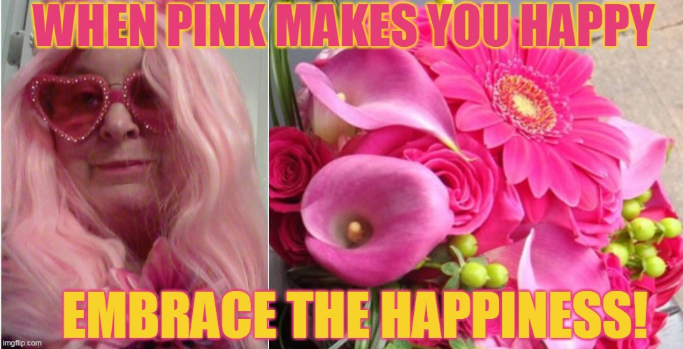 WHEN PINK MAKES YOU HAPPY; EMBRACE THE HAPPINESS! | made w/ Imgflip meme maker