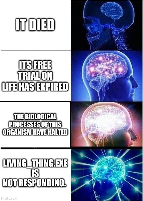 It died. Just in a very complicated way... | IT DIED; ITS FREE TRIAL ON LIFE HAS EXPIRED; THE BIOLOGICAL PROCESSES OF THIS ORGANISM HAVE HALTED; LIVING_THING.EXE IS NOT RESPONDING. | image tagged in memes,expanding brain | made w/ Imgflip meme maker