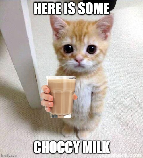 Cute Cat | HERE IS SOME; CHOCCY MILK | image tagged in memes,cute cat | made w/ Imgflip meme maker