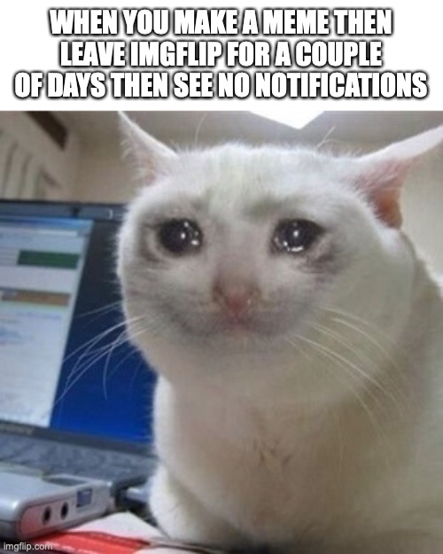 why does this happen?! | WHEN YOU MAKE A MEME THEN LEAVE IMGFLIP FOR A COUPLE OF DAYS THEN SEE NO NOTIFICATIONS | image tagged in crying cat | made w/ Imgflip meme maker