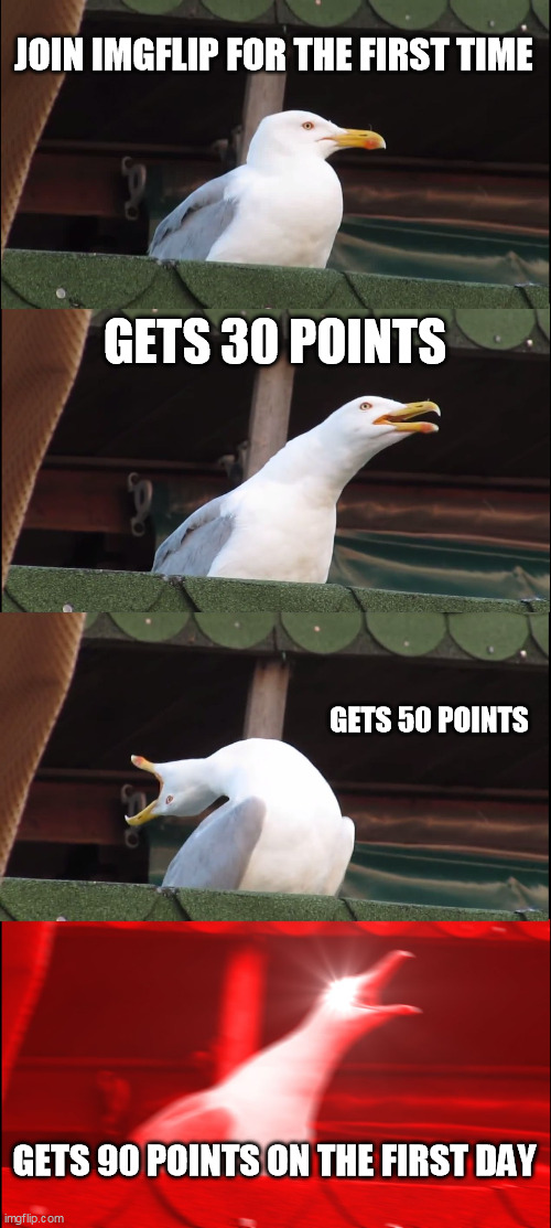 Gets 90 Points On The Forst Day Be Like | JOIN IMGFLIP FOR THE FIRST TIME; GETS 30 POINTS; GETS 50 POINTS; GETS 90 POINTS ON THE FIRST DAY | image tagged in memes,inhaling seagull | made w/ Imgflip meme maker