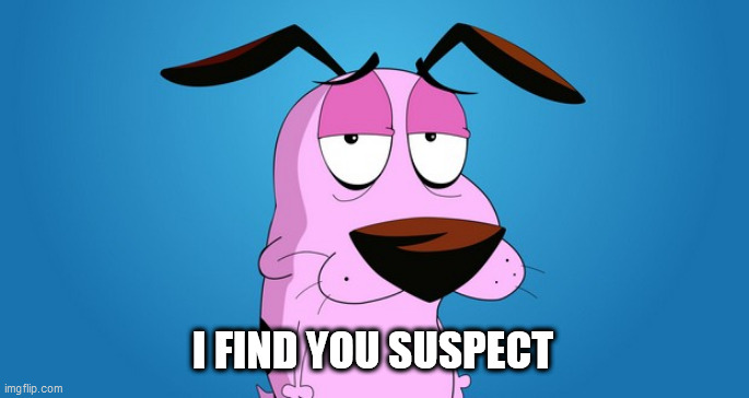 Suspect | I FIND YOU SUSPECT | image tagged in suspect | made w/ Imgflip meme maker