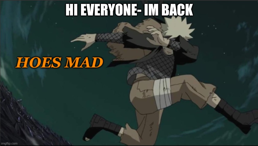 you probably didn't even know I was gone | HI EVERYONE- IM BACK | image tagged in naruto hoes mad | made w/ Imgflip meme maker
