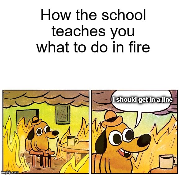 I should get in a line | How the school teaches you what to do in fire; I should get in a line | image tagged in memes,this is fine | made w/ Imgflip meme maker