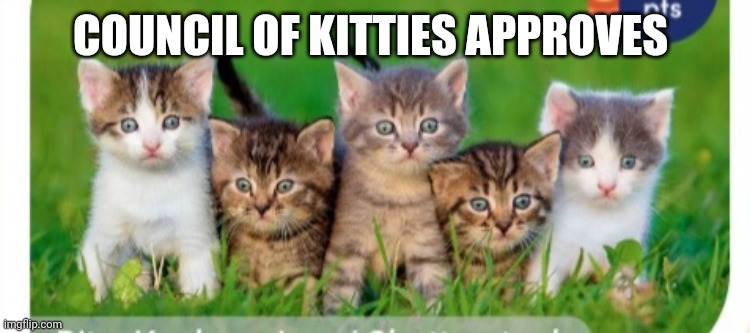 COUNCIL OF KITTIES APPROVES | made w/ Imgflip meme maker