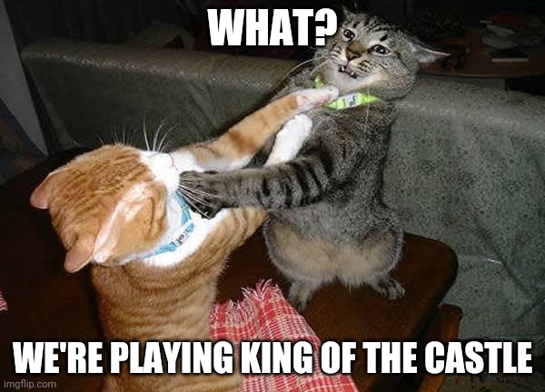 Two cats fighting for real | WHAT? WE'RE PLAYING KING OF THE CASTLE | image tagged in two cats fighting for real | made w/ Imgflip meme maker